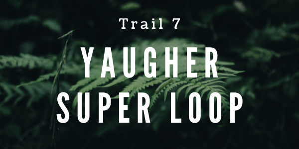 Trail 7 Yaugher Super Loop