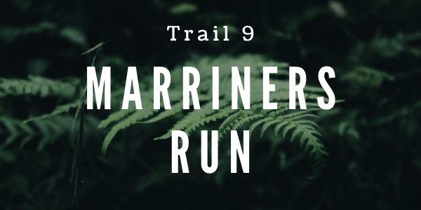 Trail 9 Marriners
