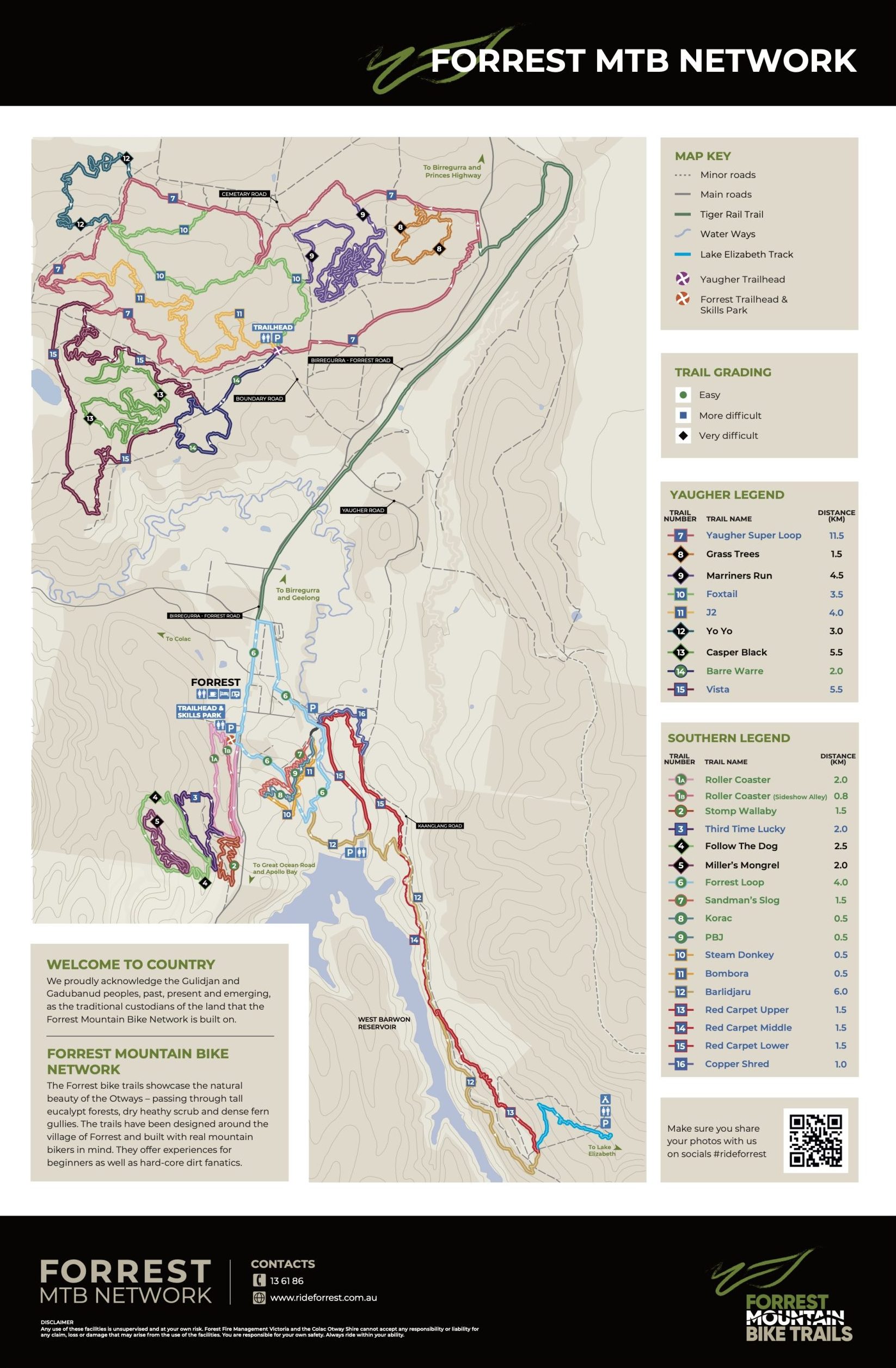 Forest mtb trails on sale